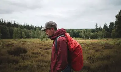Tim Knol - Wanderings