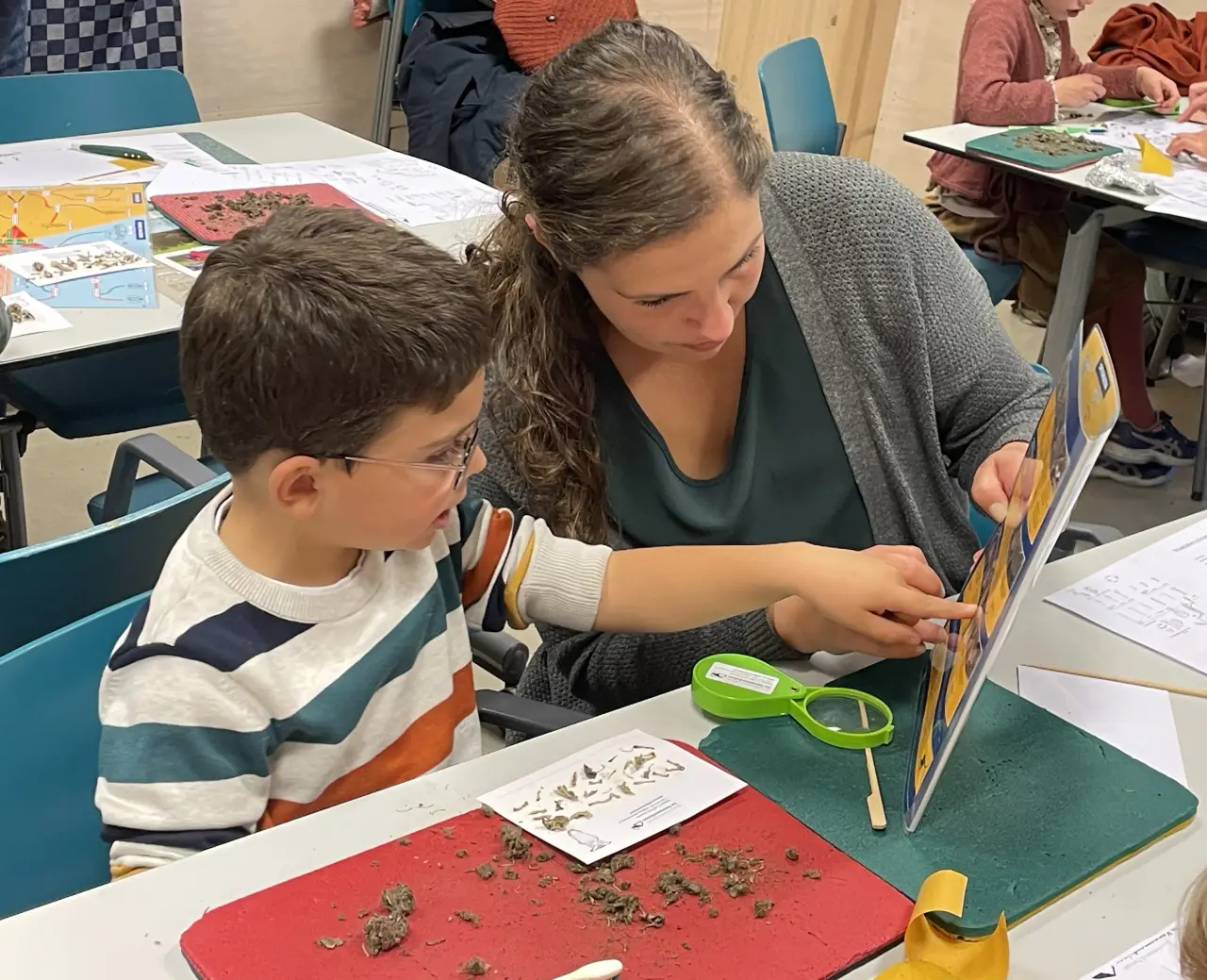 Dissecting owl pellets