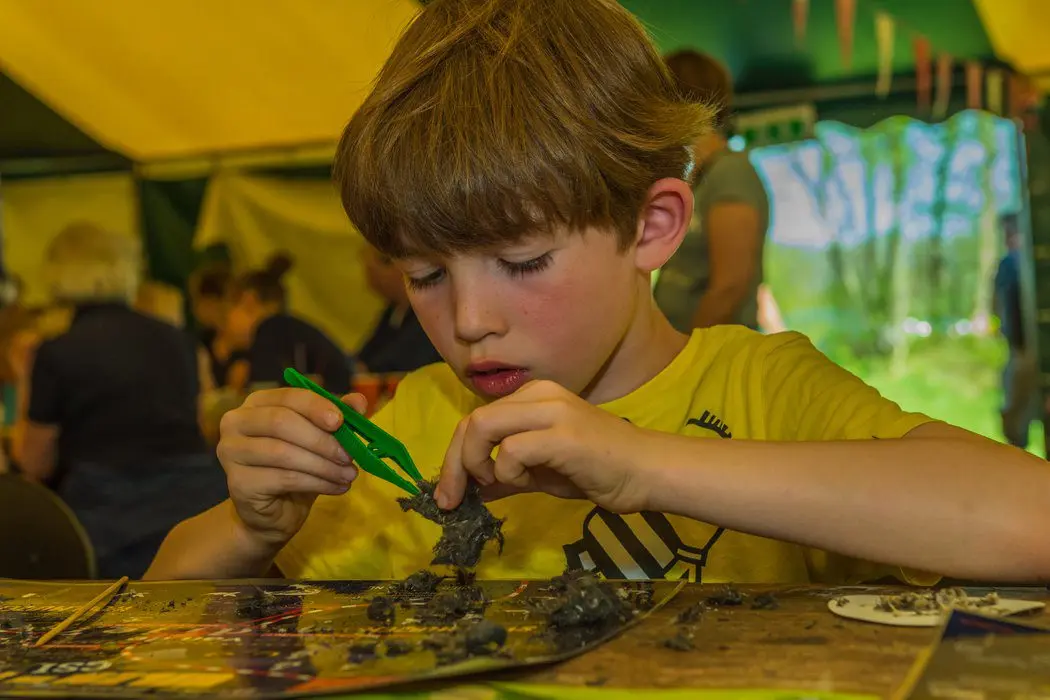Dissecting owl pellets for young nature researchers in Katlijk (6+)