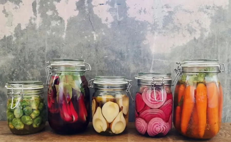Vegan basic fermentation workshop