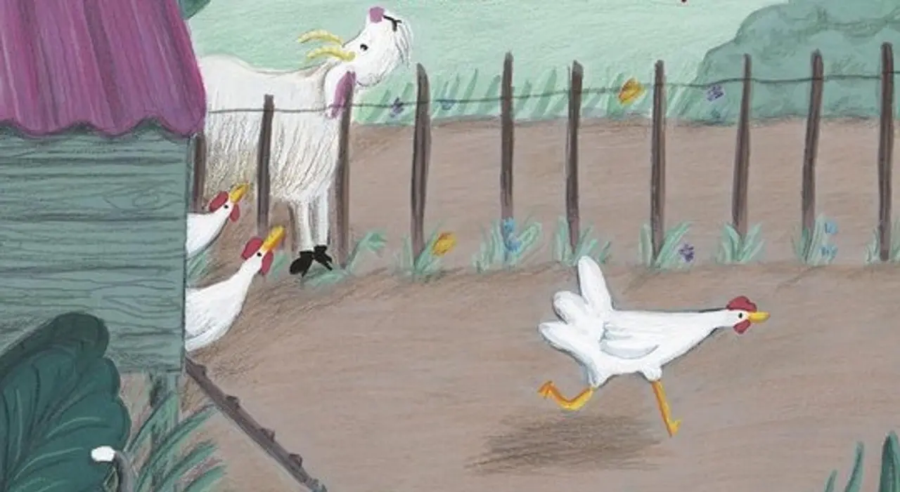 Story trail: chickens wanted!