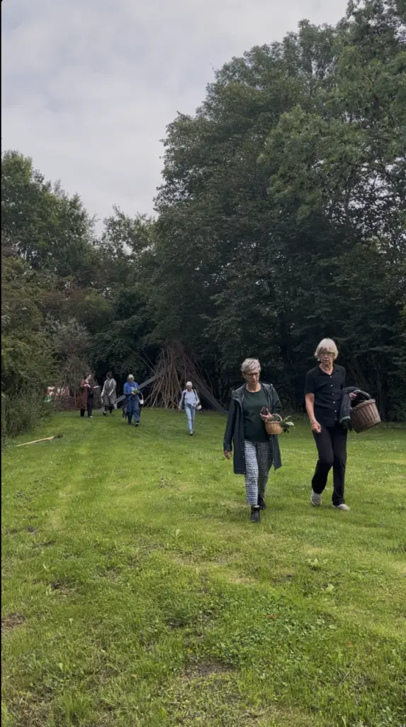 Wild Colour Workshop