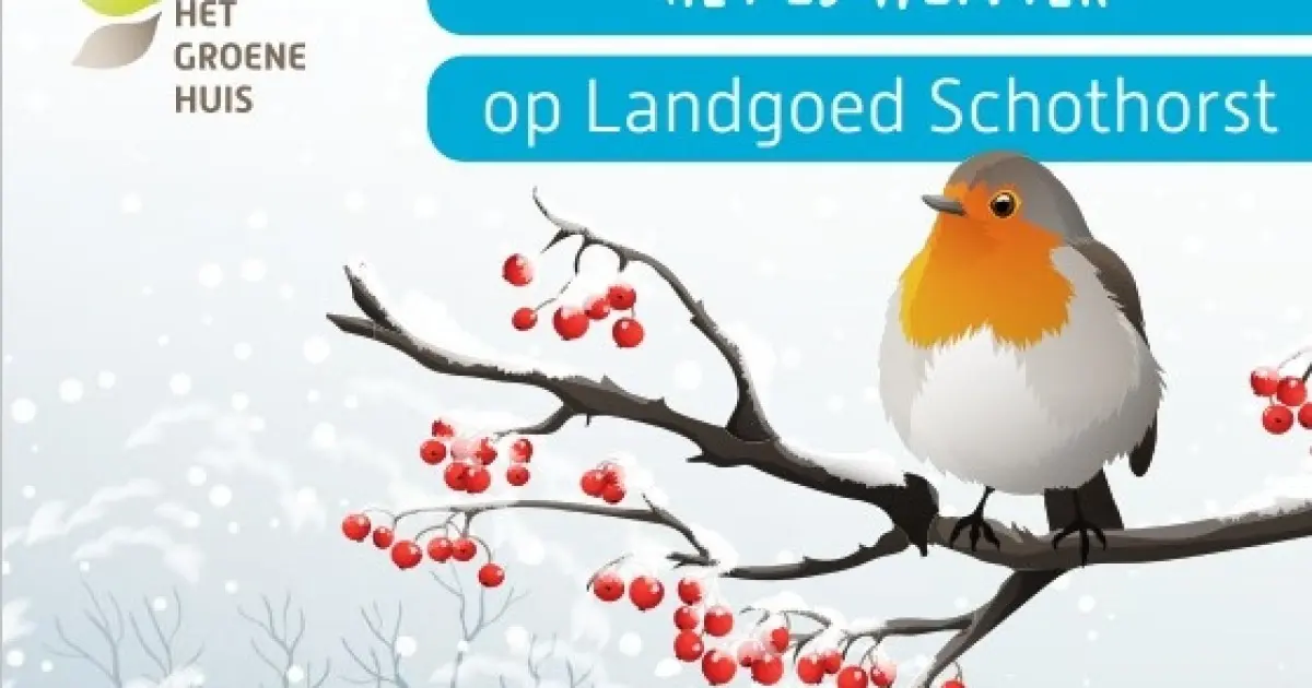 Winter activity