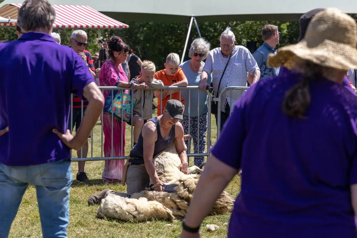 Wool and Sheep Shearing Festival
