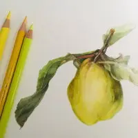 Workshop: Botanical Drawing