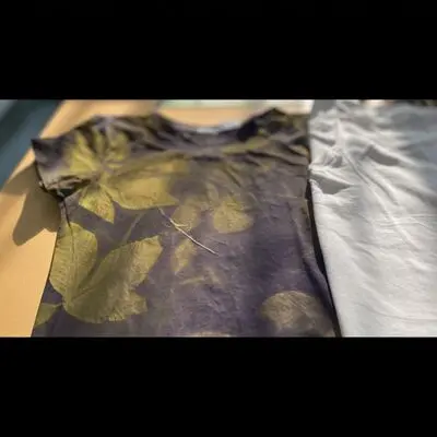 Workshop: ecoprint - print your t-shirt with flowers and leaves