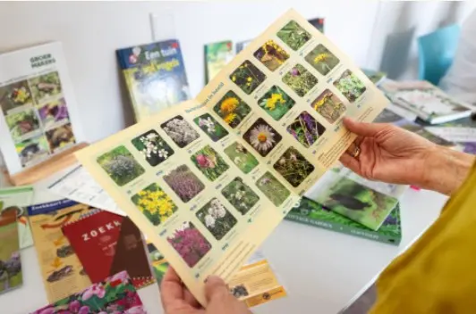Workshop: Make your own living garden!