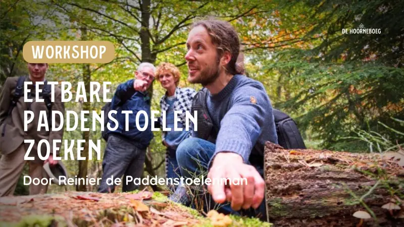 Workshop: Searching for Edible Mushrooms with de Paddenstoelenman