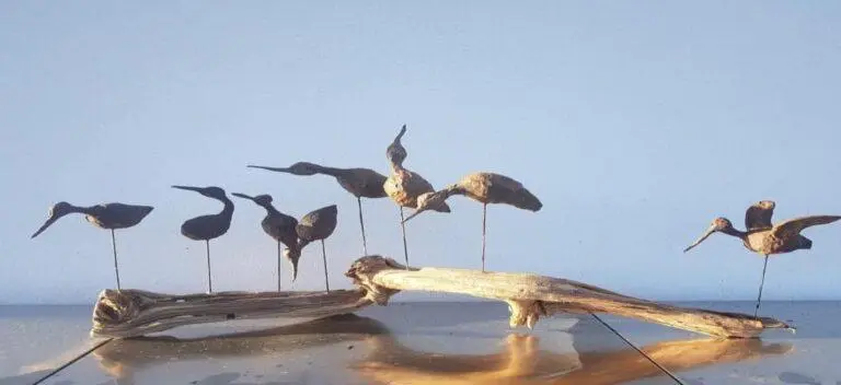 Workshop: Kingfisher or Waders