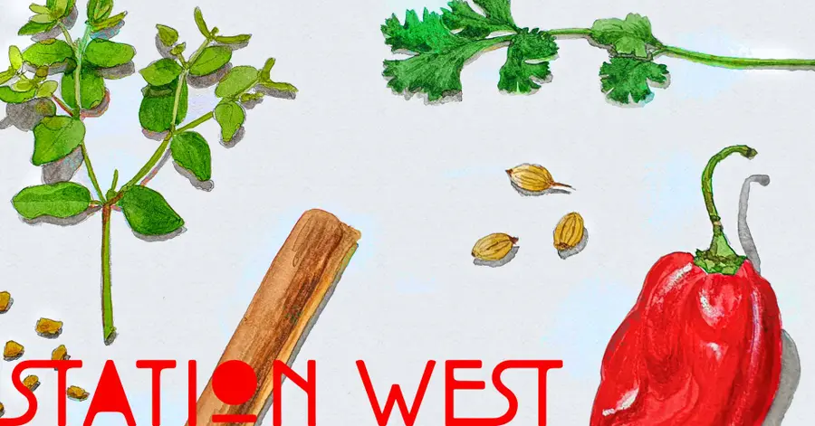Workshop drawing herbs and spices