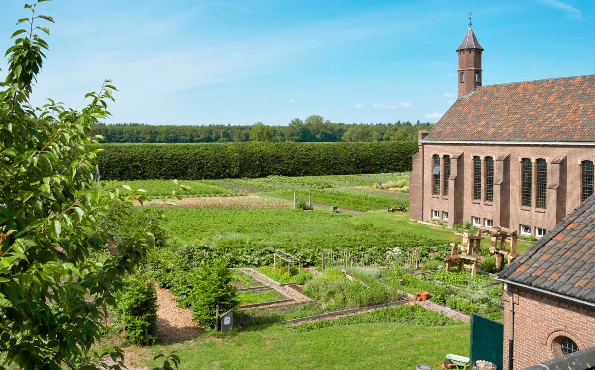 Workshop - Herbs from the monastery garden