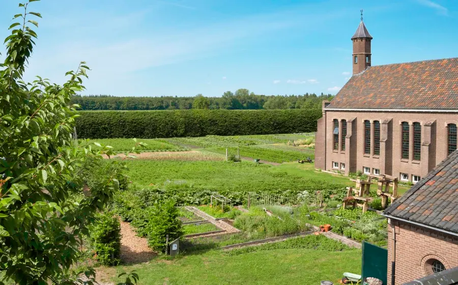 Workshop - Herbs from the monastery garden