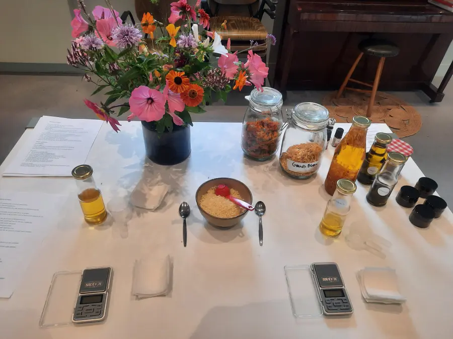 Workshop making herbal ointment – autumn