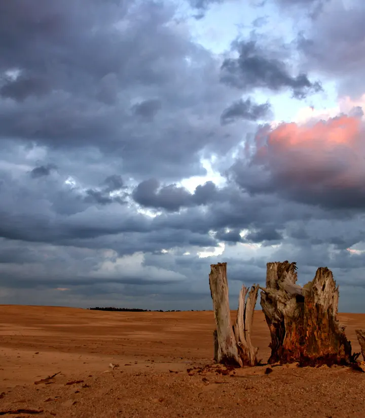 Workshop nature photography with the digital camera