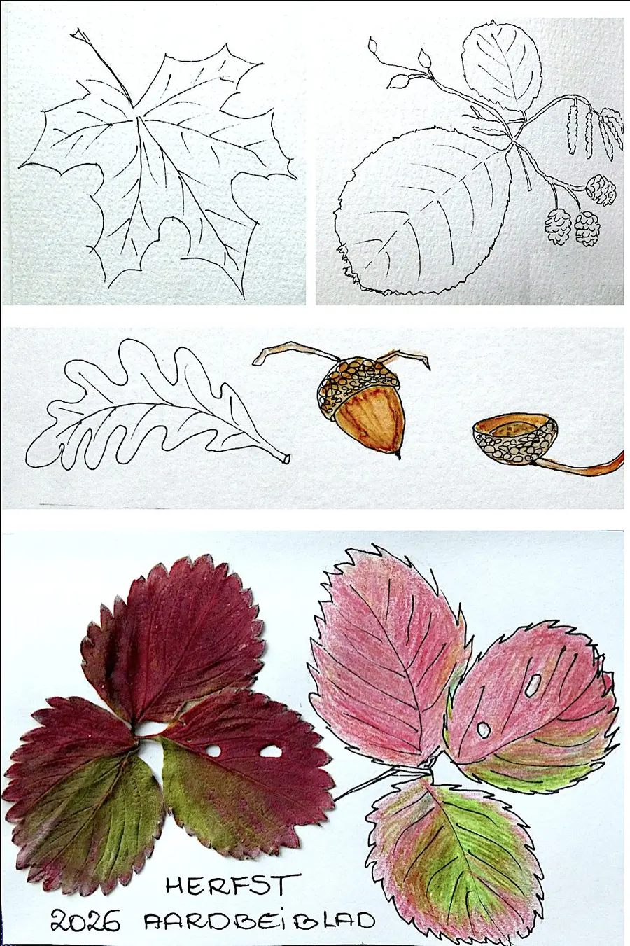 Nature drawing workshop: Look greener, draw outside the lines!