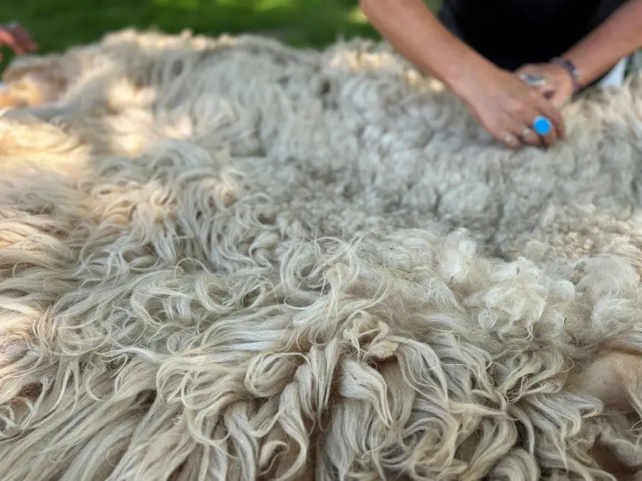 Workshop sheepskin felting