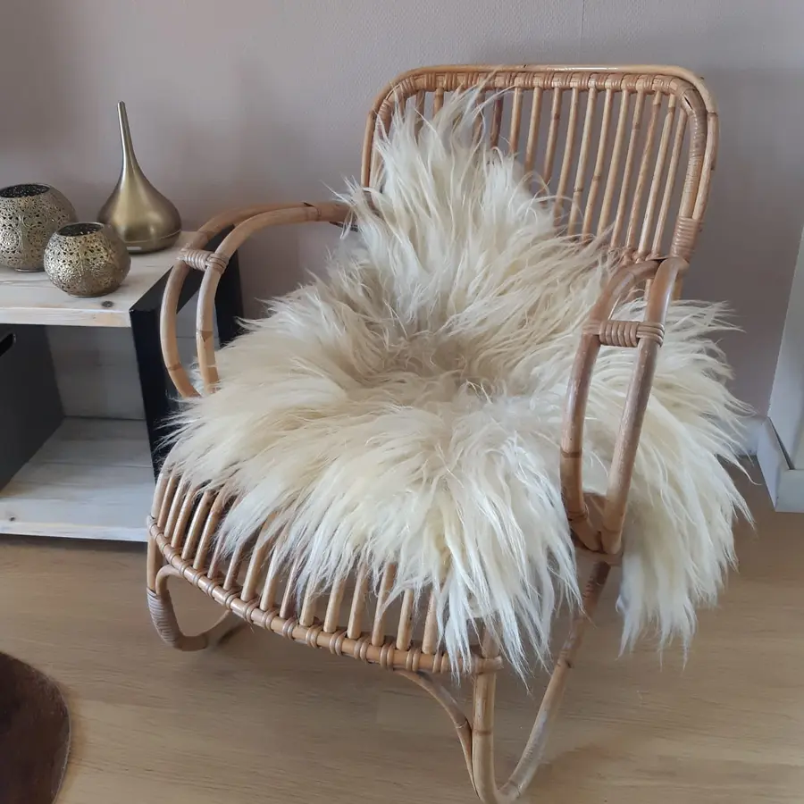 Workshop Sheep Fleece Felting