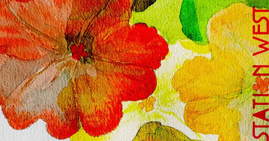 Drawing Workshop with Nature as Inspiration