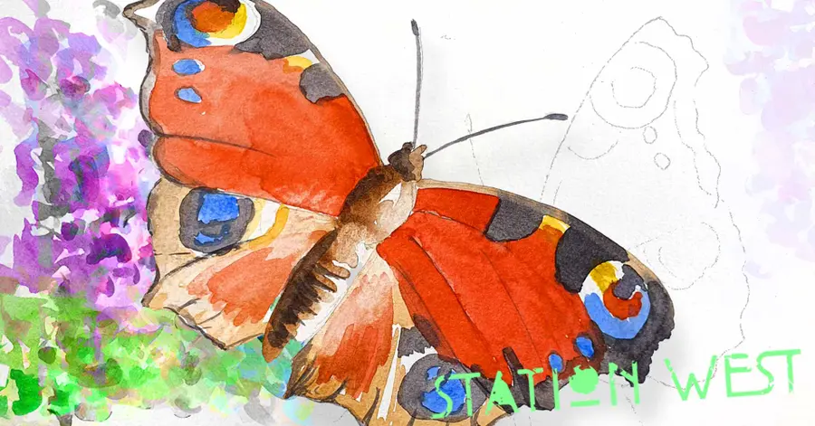 Workshop: Drawing butterflies