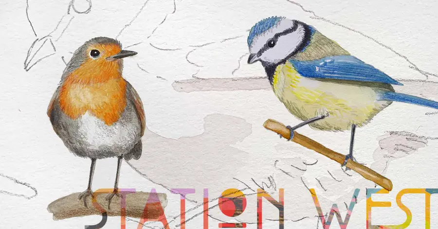 Workshop Drawing Birds