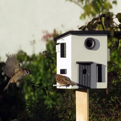 Workshop: wooden bird villa