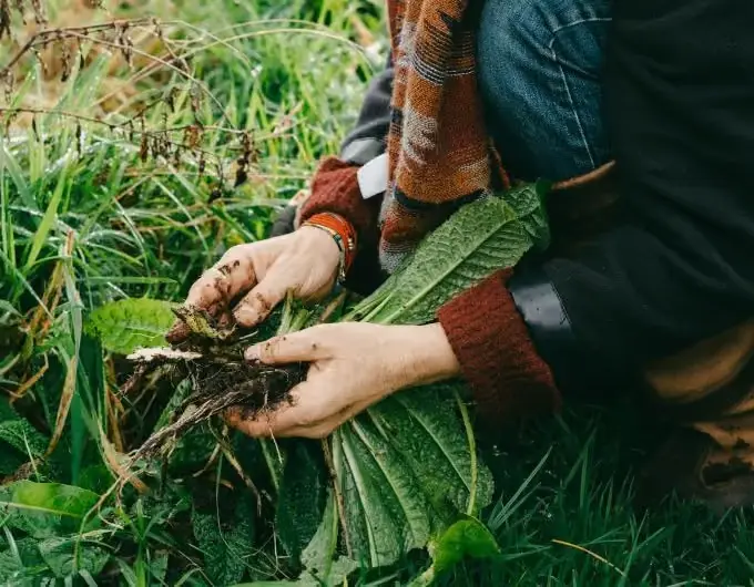 Foraging Workshop with Leoniek Bontje