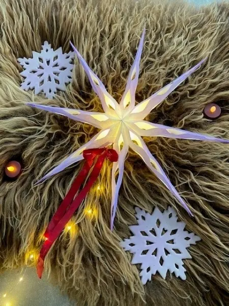 Winter star workshop