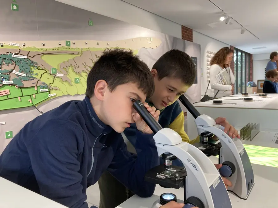 Microscopes and nature displays in the exhibition at Het Baken