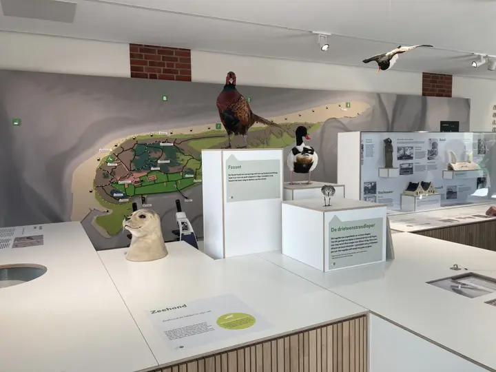 The interactive exhibition at Het Baken, with displays on the Wadden Sea, seals and migratory birds