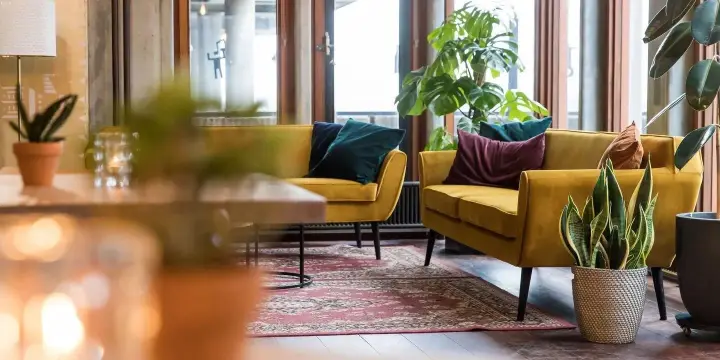 Two yellow benches with cushions by the window in the Lindenberg Café