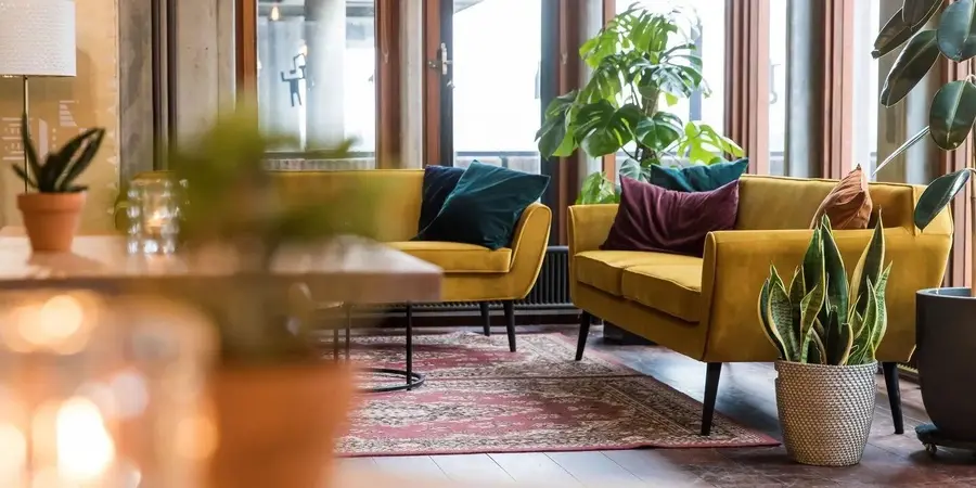 Two yellow benches with cushions by the window in the Lindenberg Café