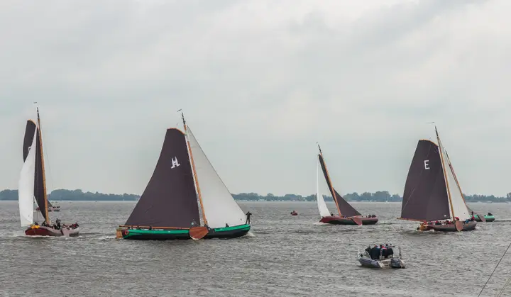 Skûtsjes under sail on the Sneekermeer during the races.